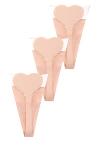 nude thong set