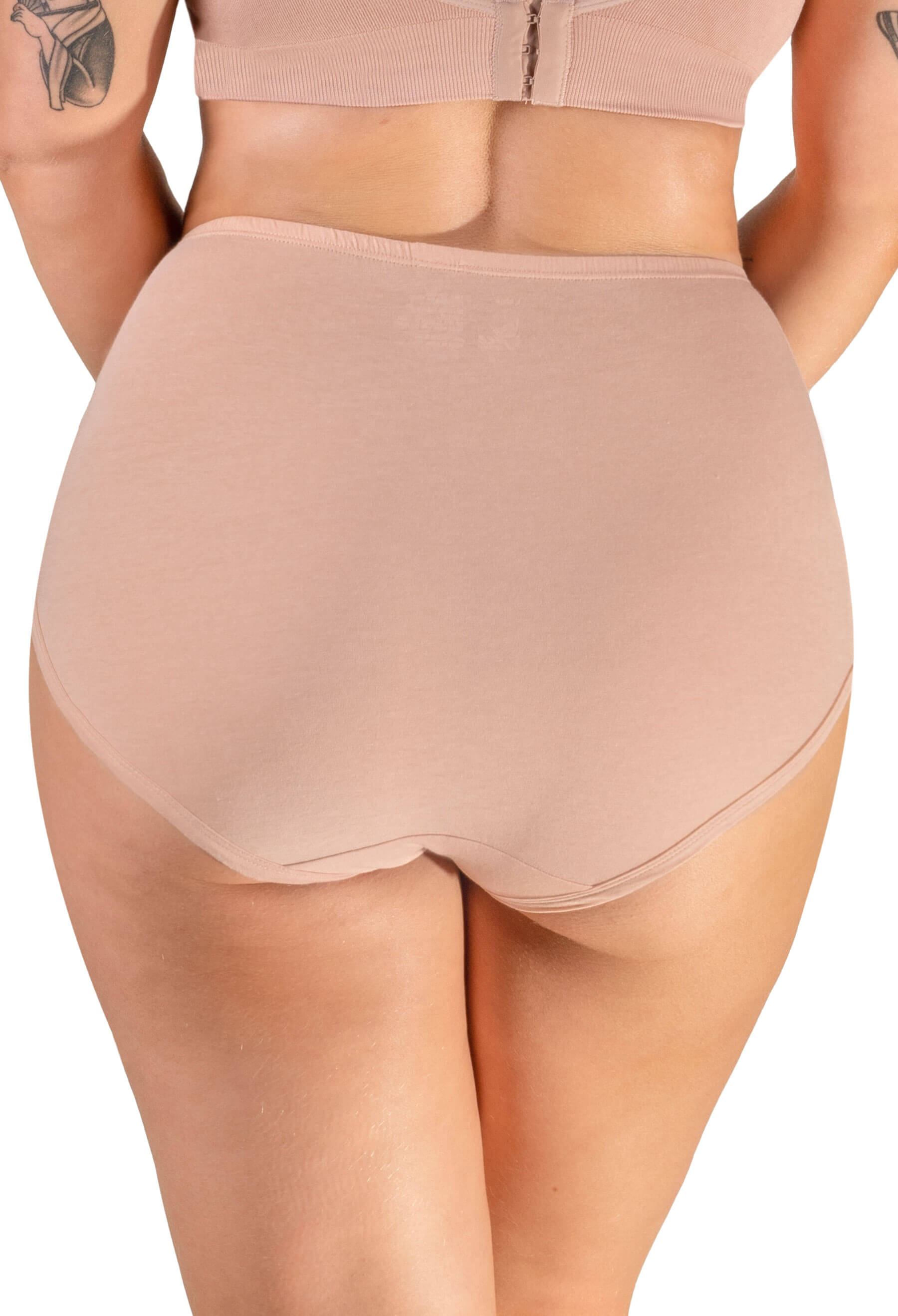 6 x Ladies Women 100% Cotton Full Size Briefs Knickers Underwear