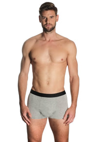 Men's Boxer Trunks - 3 Pack